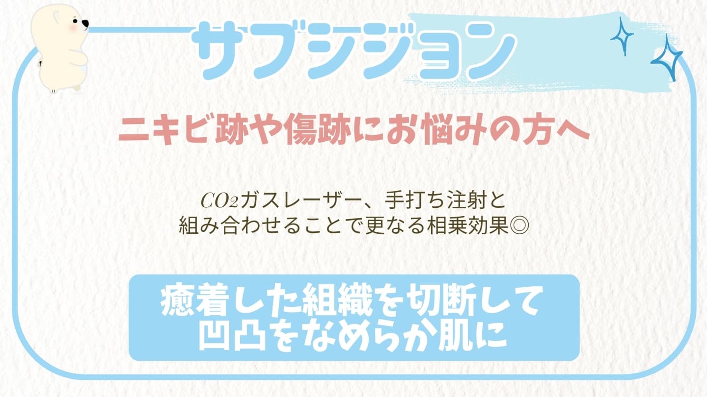 サブシジョン